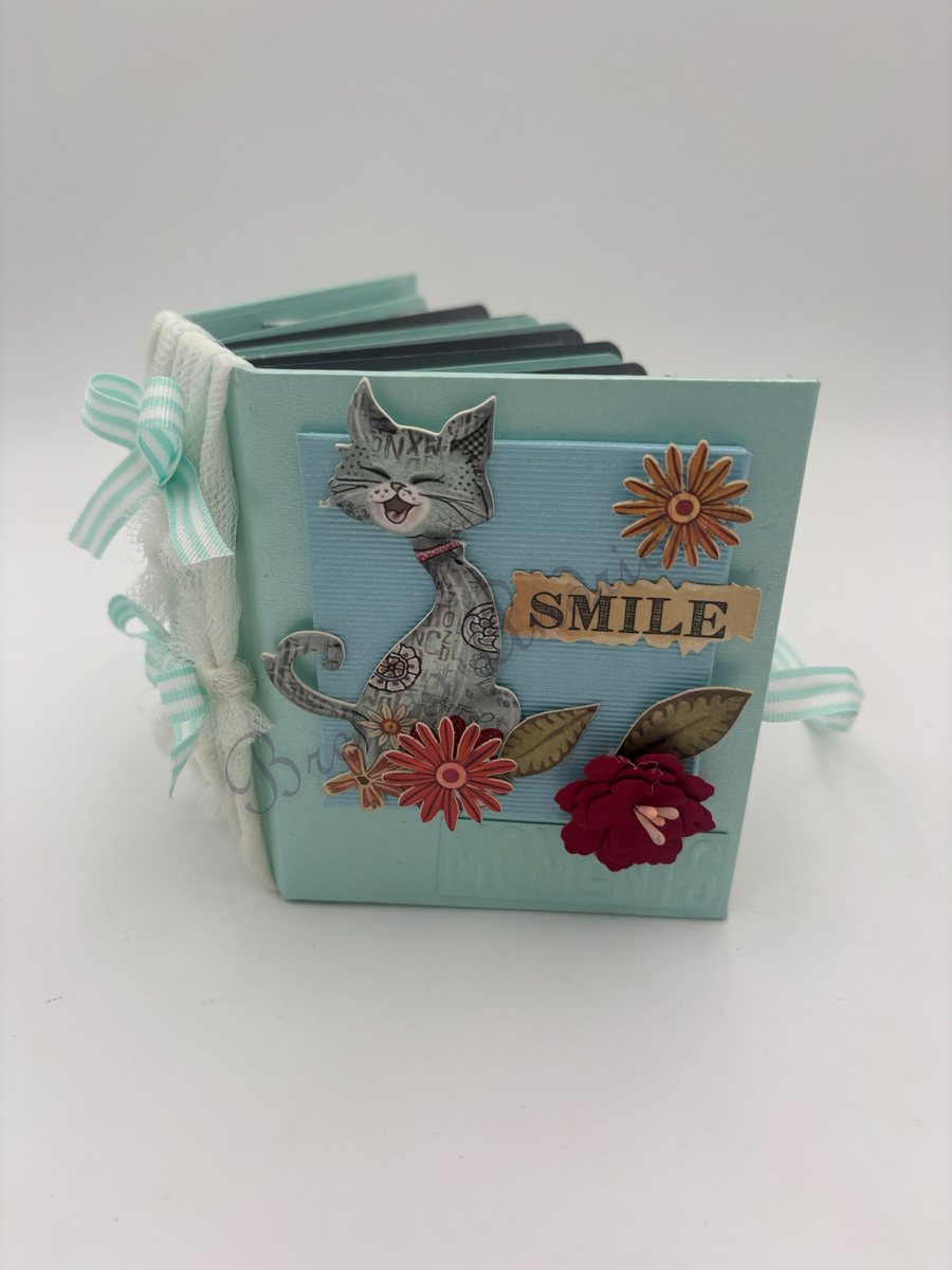 Mini-album chat Smile fait main