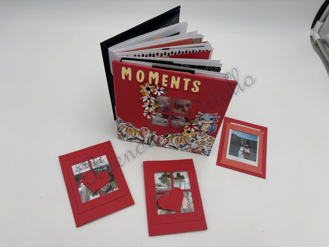 Album Moments, couverture et minis